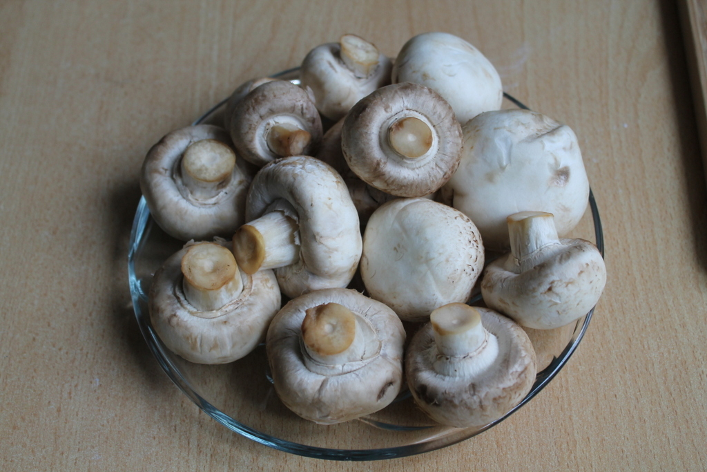 Кабачковый рулет с грибами